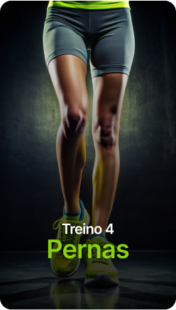 Treino 4